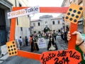 Festa dell'uva 2014