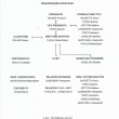 organigramma velitrum