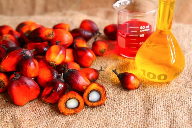 Olio di palma: usi, costumi e controversie