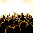 Optimized-Festival