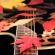 optimized-musica-autunno
