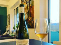 Clos de la Bergerie 2013 di Nicolas Joly Nel mondo del vino, così come in tutti gli altri mondi, capita di incontrare, più o meno direttamente, personalità di spicco. Vi racconto chi ho incontrato lungo il fiume Loira.