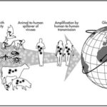 “Spillover and pandemic properties of zoonotic viruses with high host plasticity” Nature- Scientific Reports: 14830 (2015) C. Kreuder Johnson, P. L. Hitchens, T. S. Evans, T. Goldstein, K. Thomas, A: Clements,  D. O. Joly, N. D. Wolfe, P. Daszak, W. B. K. & J. K. Mazet