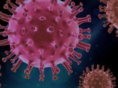 L’un Virus: il soggetto contemporaneo al tempo del Covid-19 Ma perché in un tempo come il nostro secolo la disponibilità della rete non consente l’acquisizione di info rassicuranti producendo invece uno stato di paranoia?