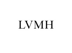 Il modello del gigante: LVHM Quale è il modello di organizzazione aziendale e di comunicazione, che ha permesso a LVMH di raggiungere il primato in questo settore tanto complesso?