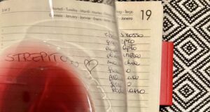 Mille sfumature di vino Può capitare che presi dalla voglia di bereun bicchiere di vino, si saltino due step importantissimi ossia la vista e l’olfatto.