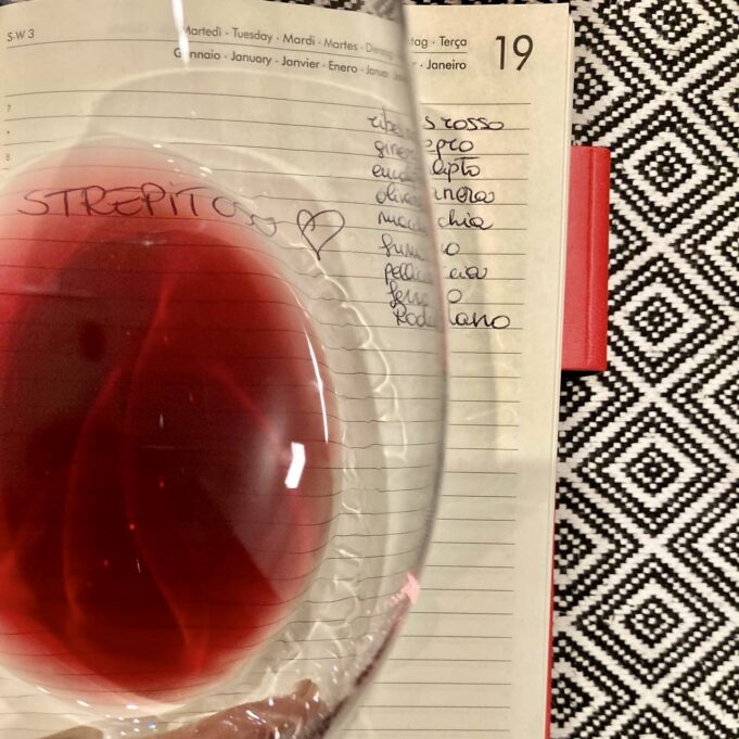 Mille sfumature di vino Può capitare che presi dalla voglia di bereun bicchiere di vino, si saltino due step importantissimi ossia la vista e l’olfatto.