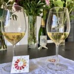 Mille sfumature di vino