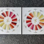 Mille sfumature di vino