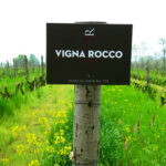 Andeira, vino rosato frizzante 2019, Rocco di Carpeneto. Espressioni di Barbera.