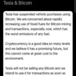Elon Musk e Bank of China affossano Bitcoin