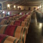 I profumi del vino: Natura Liquida