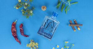 La ricerca del Genuino porta frutto (o cocktail) Conosciamo Leonardo Lufrano, 30 anni, socio di ge-nu-ì-noe & GinUino. Insieme ai suoi soci produce gin lucano artigianale!