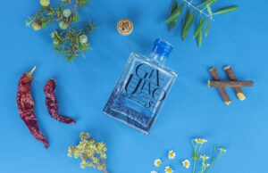 La ricerca del Genuino porta frutto (o cocktail) Conosciamo Leonardo Lufrano, 30 anni, socio di ge-nu-ì-noe & GinUino. Insieme ai suoi soci produce gin lucano artigianale!