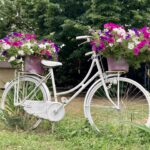Accendiamo i sensi. Guarda, Odora, Assaggia