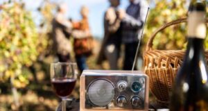 Vino e musica: magica sinestesia Quando ti ritrovi a degustare dei vini, i sensi coinvolti nel processo di assaggio sono tre: vista, olfatto e gusto. E l'udito? La musica.