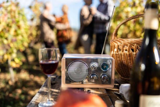 Quando ti ritrovi a degustare dei vini, i sensi coinvolti nel processo di assaggio sono tre: vista, olfatto e gusto. E l'udito? La musica.