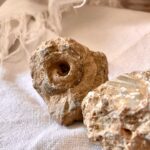 I profumi del vino. Guarda, Odora, Assaggia  #terzaparte