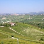 I fattori che influenzano il prezzo del vino.