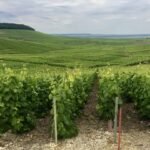 A colpi di sciabola: Francia VS Russia. In difesa dello Champagne