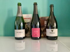 Vino spumante o vino frizzante? Partiamo dalle definizioni Vino spumante o vino frizzante? Partiamo dalle definizioni