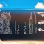 Vino spumante o vino frizzante? Partiamo dalle definizioni