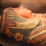 Etica museale (Parte II): Resti umani e come trattarli