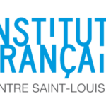 Institut Français: Novembre Numérique!