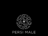 Persimale suona bene I Persimale, band emergente nel panorama della musica romana e contemporanea. Hanno la sperimentazione come metodo, la sinestesia come mezzo, testi pensati su melodie orecchiabili come risultato.