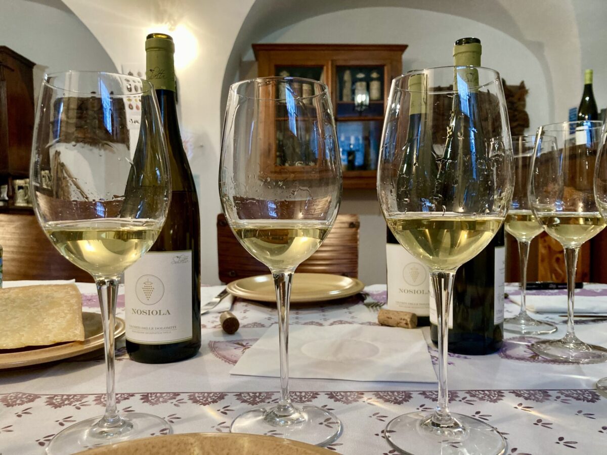 La Nosiola di Salvetta: due affascinanti vini diversi dallo stesso vitigno. Visita alla storica azienda familiare trentina.