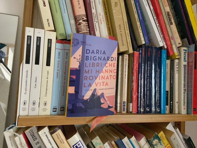 Daria Bignardi colpisce ancora! Il nuovo libro in cui racconta l’evoluzione che il dolore le ha consentito e come la lettura di un libro si intersechi in una specifica relazione con la fase di vita che attraversa un individuo. 