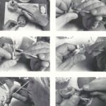 Germano: gioielli, famiglia e Castelli