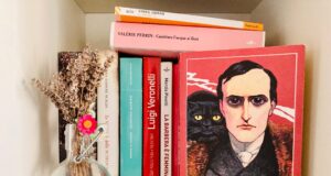 Il Dottor Nikola e il “potere” degli incontri “Il Dottor Nikola” è uno di quei libri che leggi tutti di un fiato, le cui pagine volano via, ma che poi ti dispiace di aver finito.